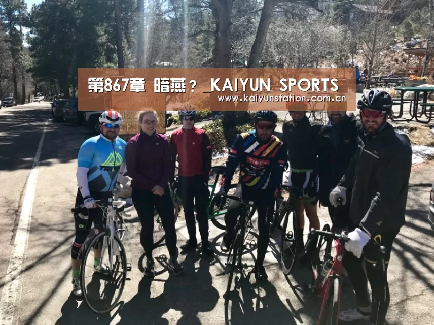 第867章 暗燕?_KAIYUN SPORTS(图3) 开云官网首页