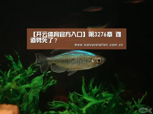 开云官网首页